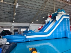 Commercial Inflatable Water Slides For Adults CH-WS070