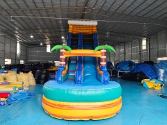 Commercial Water Slides For Adults CH-WS2401