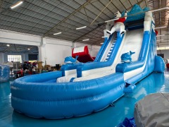 Commercial Inflatable Water Slides For Adults CH-WS070