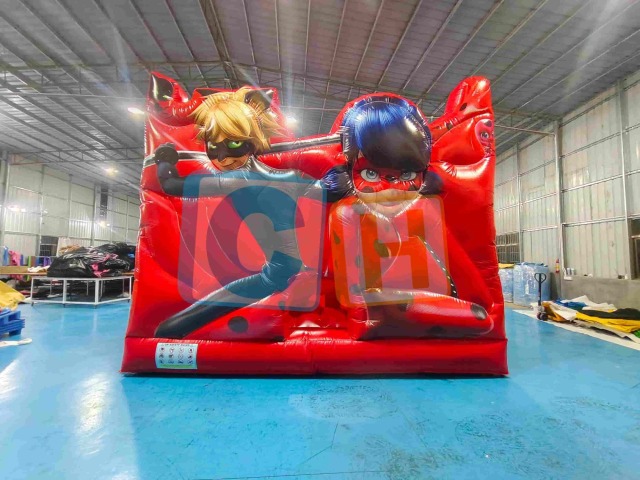 Bouncy Castles And Inflatables
