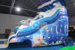 Swimming pool slides inflatable
