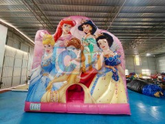 Inflatable Bouncy House For Sale