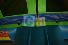 Bouncy House Birthday Party