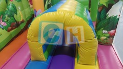 Inflatable Bouncy Castle Slide