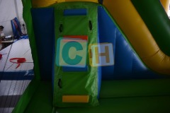 Bouncy House Birthday Party