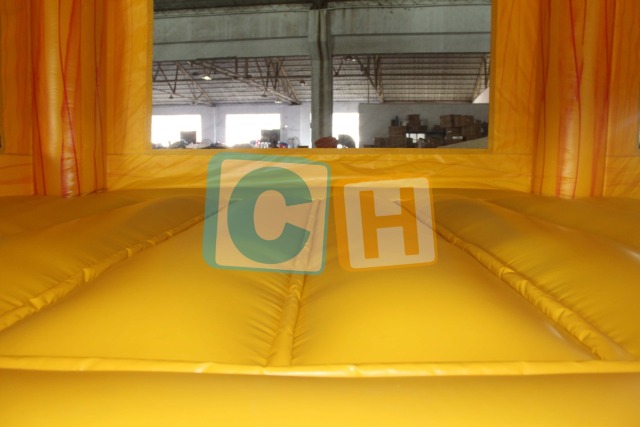 Inflatable Bouncy Castle