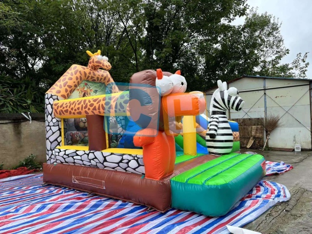 Bouncy Castle Inflatable Slide