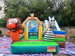Bouncy Castle Inflatable Slide
