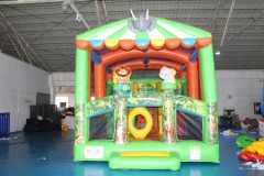 Inflatable Slides For Sale