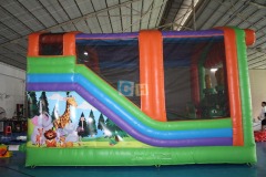 Inflatable Slides For Sale