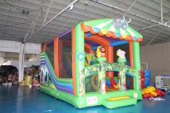 Inflatable Slides For Sale