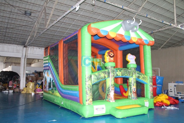 Inflatable Slides For Sale