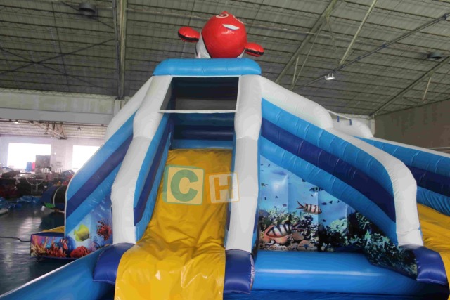 Giant inflatable pool slide