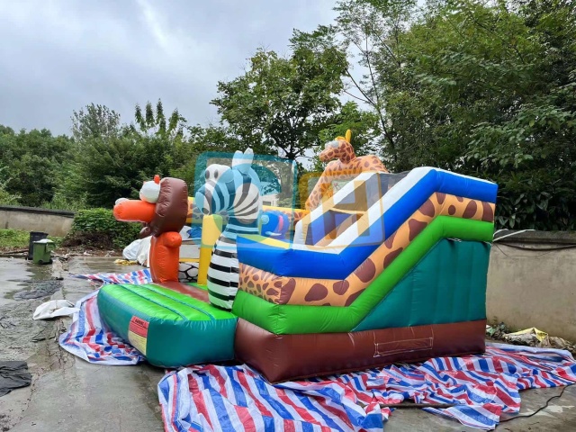 Bouncy Castle Inflatable Slide