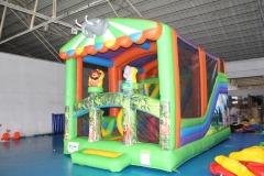 Inflatable Slides For Sale