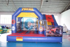 Party Bouncy House
