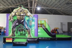 Bouncy House With Water Slide