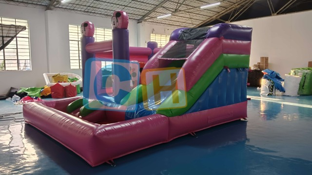 Inflatable Castle Water Slide