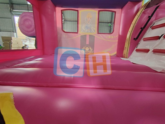 Inflatable Castle And Slide