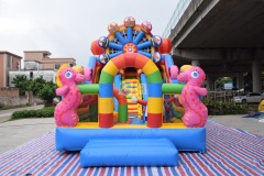 Commercial Inflatable Slide