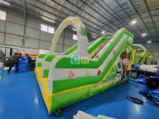 Big Slide Inflatable
