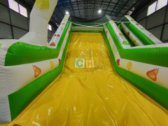 Big Slide Inflatable