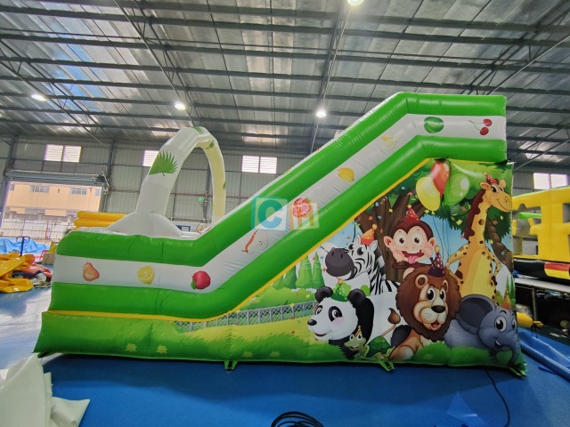 Big Slide Inflatable