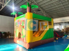 Inflatable Bounce House