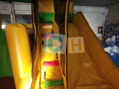 Inflatable Bounce House