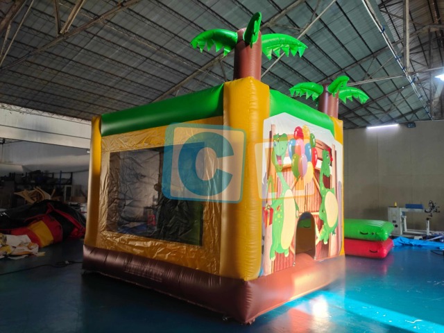 Inflatable Bounce House