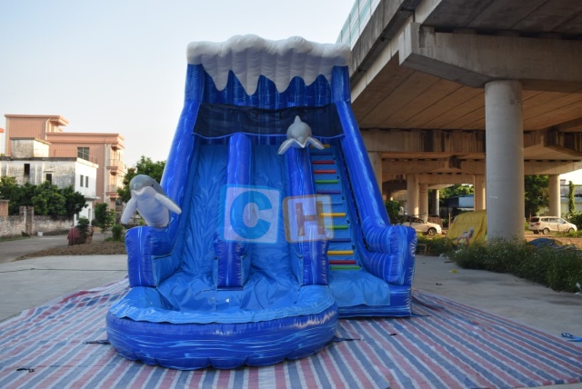 Inflatable water slides for purchase