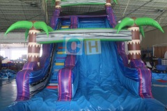 Inflatable water slides for sale