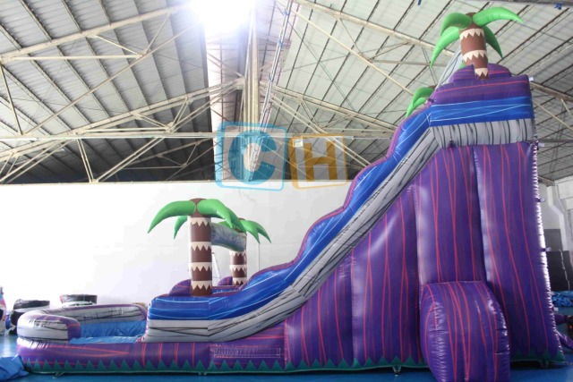 Inflatable water slides for sale