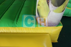 Small Bouncing House