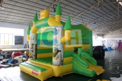 Small Bouncing House