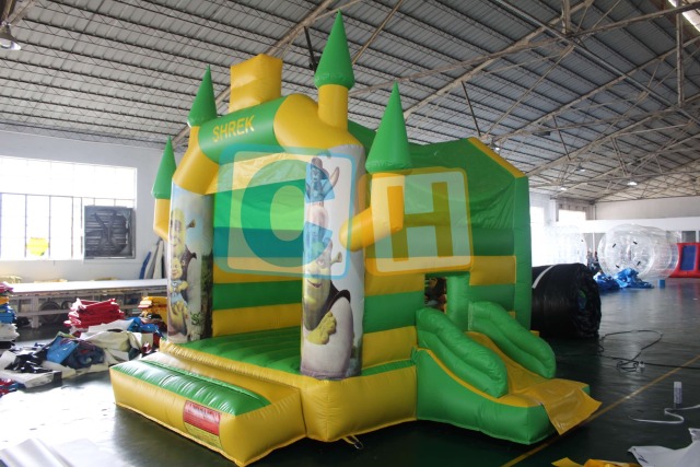 Small Bouncing House