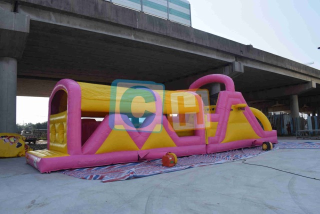 Backyard Obstacle Course Inflatable