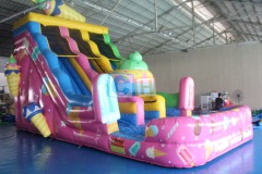 Inflatable water slides for sale for adults
