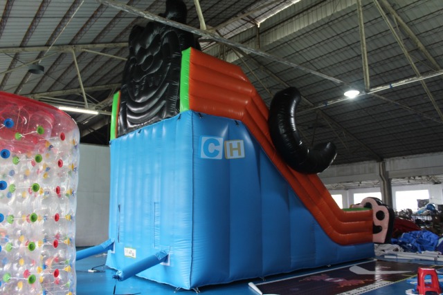 Inflatable Dry Slide