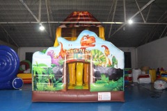 Inflatable Castle And Slide