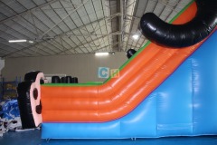 Inflatable Dry Slide