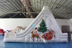 Inflatable Bouncy Castle And Slide