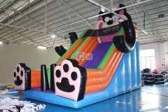 Inflatable Dry Slide