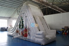 Inflatable Bouncy Castle And Slide