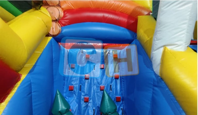 Commercial Bounce House