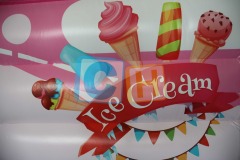 Inflatable Bouncy House