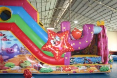 Inflatable Double Slide