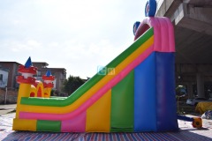 Double Inflatable Slide