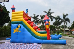 Childrens Inflatable Slide