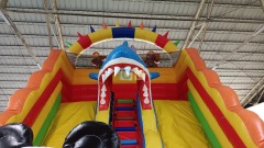 Commercial Inflatable Slides